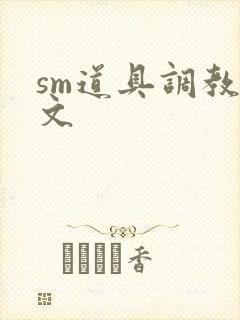 sm道具调教腐文
