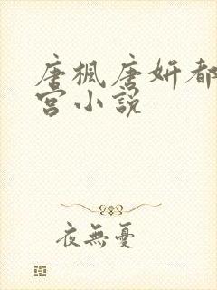 唐枫唐妍都市后宫小说