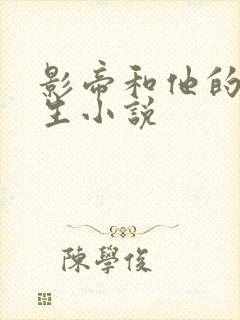 影帝和他的傅先生小说