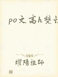 po文高h双性
