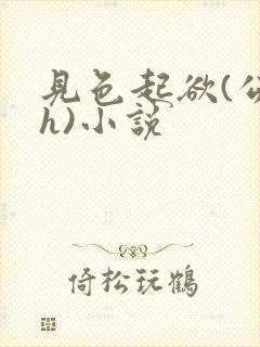 见色起欲(公媳h)小说封面