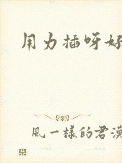 用力插呀好爽呀