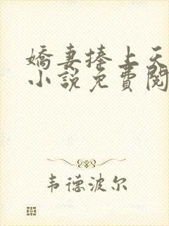 娇妻捧上天全文小说免费阅读封面