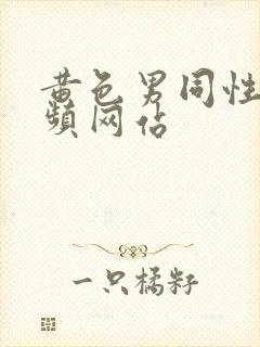 黄色男同性恋视频网站