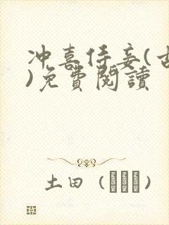 冲喜侍妾(古言)免费阅读封面