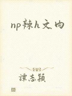 np辣h文肉封面
