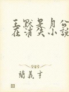 王默是月公主手在消失小说