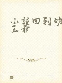 小说回到明朝当王爷