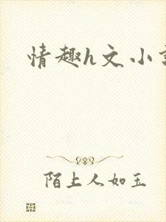 情趣h文小说