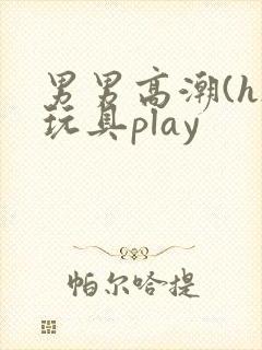 男男高潮(h)玩具play