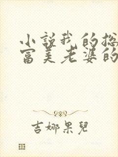 小说我的总裁白富美老婆的免费阅读