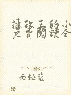 摄政王的小闲妻免费阅读全文