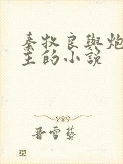 秦牧良与炮灰女主的小说