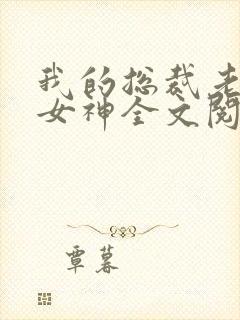 我的总裁老婆是女神全文阅读封面