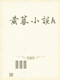 黄蓉小说h