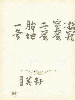 一胎二宝:总裁爹地蜜蜜宠