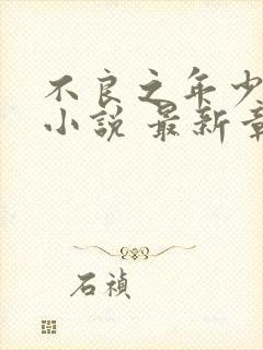 不良之年少轻狂小说 最新章节 无弹窗封面