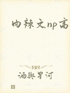 肉辣文np高h封面