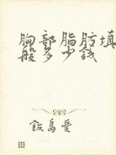 胸部脂肪填充一般多少钱封面