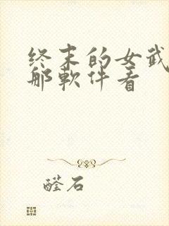 终末的女武神在那软件看