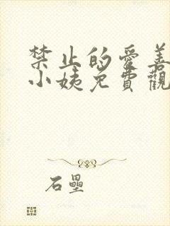 禁止的爱善良的小姨免费观看