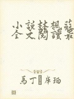 小说林枫苏慕白全文阅读最新章节