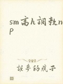 sm高h调教np