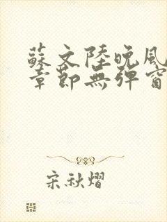 苏文陆晚风最新章节无弹窗笔趣阁