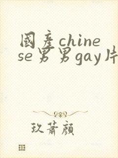 国产chinese男男gay片封面