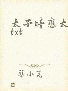 太子暗恋太子妃txt