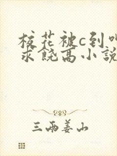 校花被c到呻吟求饶高小说