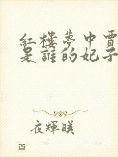 红楼梦中贾元春是谁的妃子