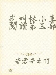 我叫林小喜全文阅读第三部
