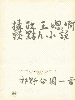 摄政王嗯啊好涨轻点h小说