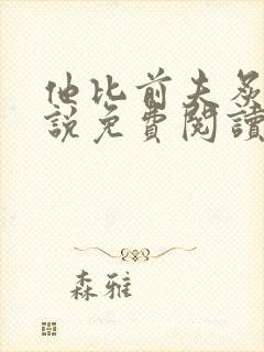 他比前夫炙热小说免费阅读封面