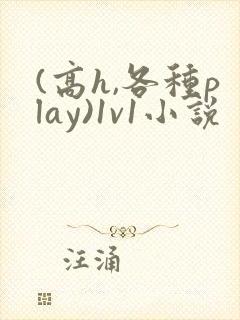 (高h,各种play)1v1小说