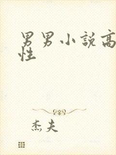 男男小说高h双性