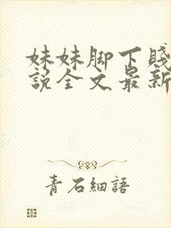 妹妹脚下贱狗小说全文最新章节