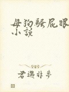 母狗骚屁眼调教小说封面
