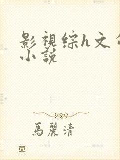 影视综h文勾引小说封面