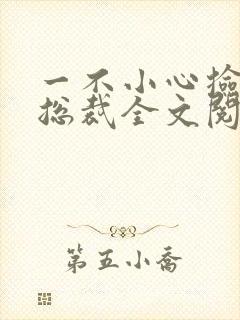 一不小心捡到个总裁全文阅读