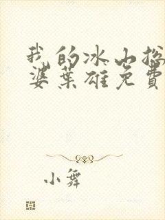 我的冰山总裁老婆叶雄免费阅读