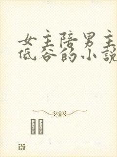 女主陪男主走过低谷的小说