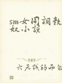 sm女同调教女奴小说