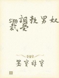 sm调教男奴总裁受