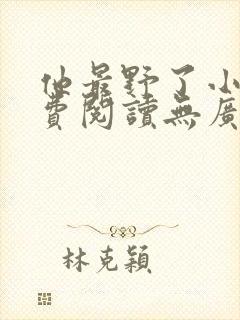 他最野了小说免费阅读无广告