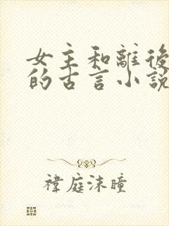 女主和离后二嫁的古言小说
