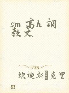 sm 高h 调教文