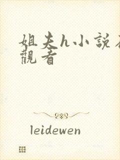 姐夫h小说在线观看