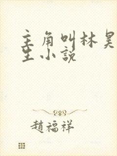 主角叫林昊的重生小说